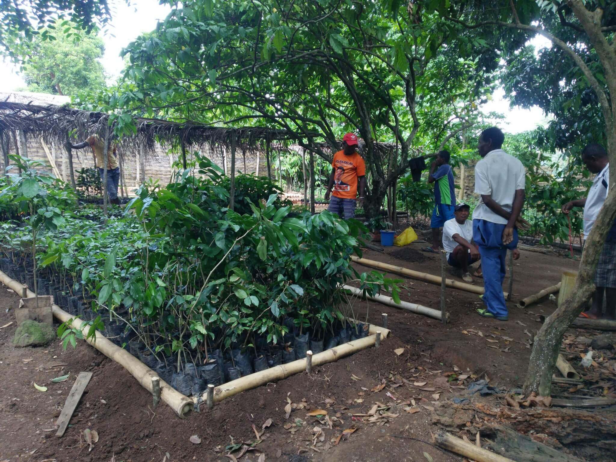 Wissenstransfer im Aufforstungsprojekt Madagaskar